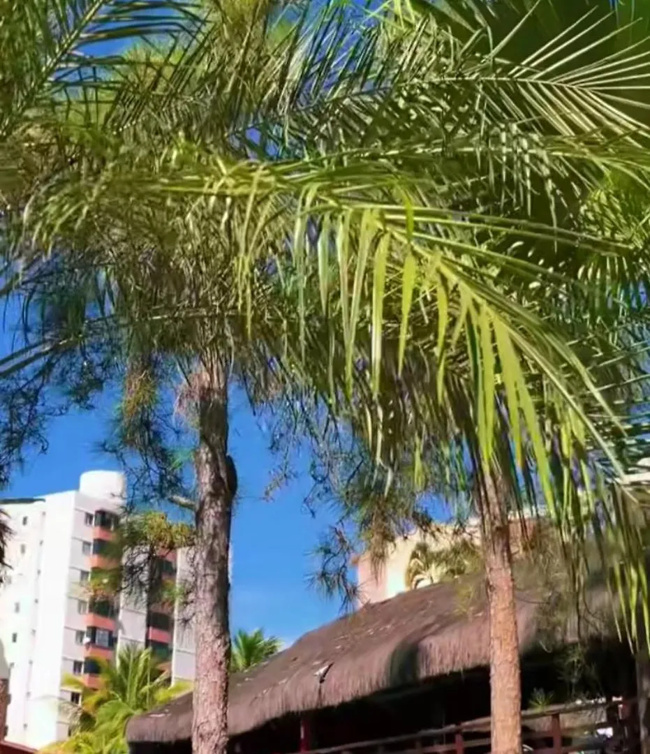 Apartamento No Hotel Hot Springs Promocao Para Final De Carnaval Caldas Novas